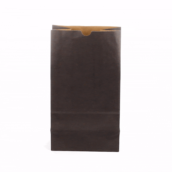 Bag Tek Black Paper Bag - 12 lb - 7" x 4 1/4" x 12 1/2" - 100 count box