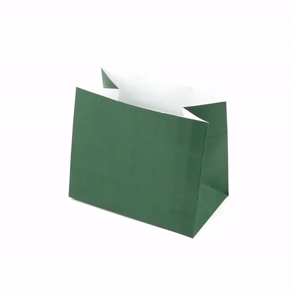 Bag Tek Forest Green Paper Large Snack Bag - 4 1/4" x 2 1/2" x 3 3/4" - 100 count box