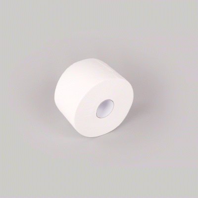 Clean Tek Professional White Toilet Paper Roll - 2-Ply, Center Pull - 876' x 7 3/4" - 12 count box