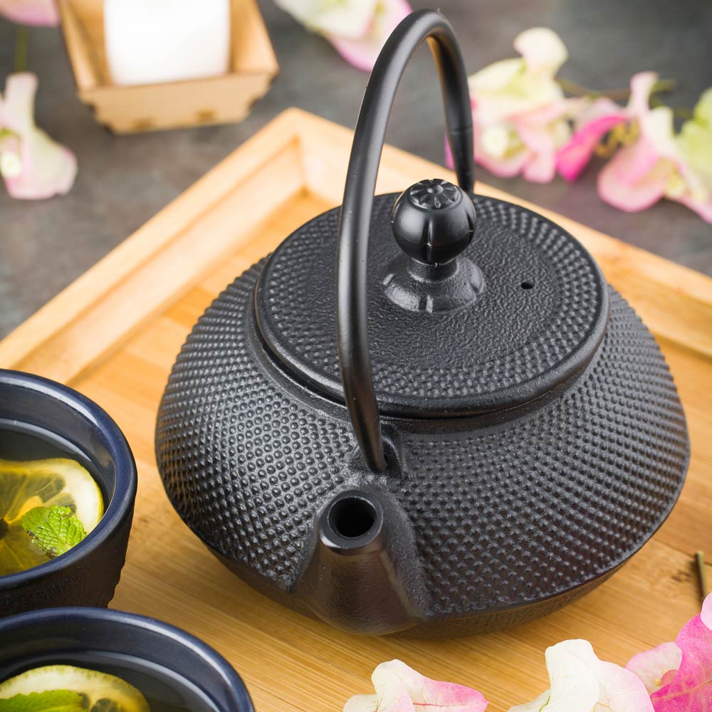 Tetsubin 20 oz Round Black Cast Iron Teapot - 6 1/4" x 5 1/2" x 5 3/4" - 1 count box