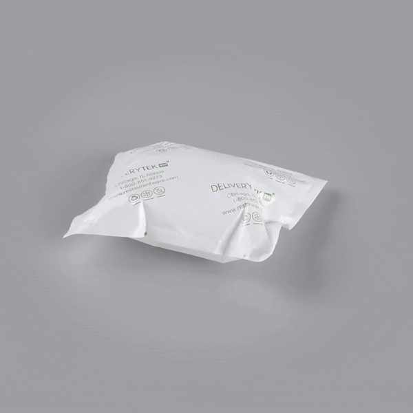Delivery Tek Plastic Shipping Ice Pack - 5" x 4 1/2" - 100 count box