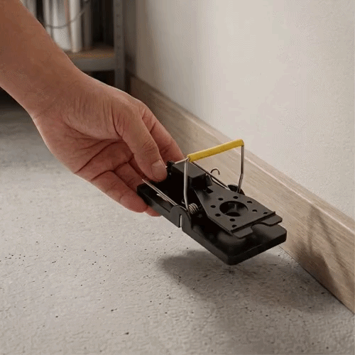 Pest Tek Black Plastic Mouse Trap - Kill Bar, Reusable - 3 3/4" x 1 3/4" x 2 1/4" - 6 count box