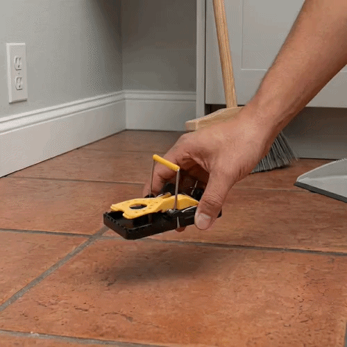 Pest Tek Yellow and Black Plastic Mouse Trap - Kill Bar, Reusable - 4 1/2" x 2" x 2 1/4" - 6 count box