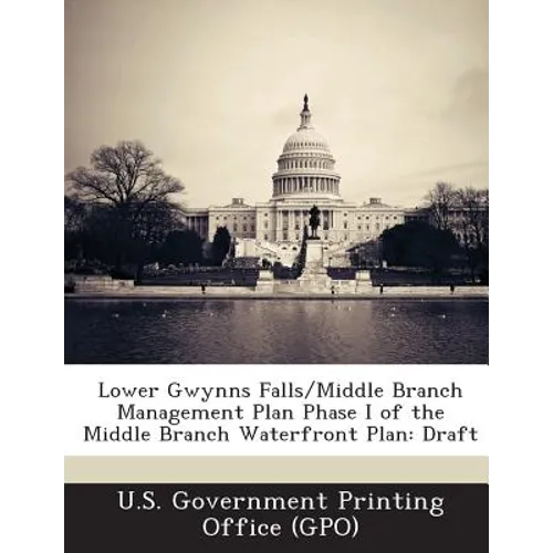 Lower Gwynns Falls/Middle Branch Management Plan Phase I of the Middle Branch Waterfront Plan: Draft - Paperback