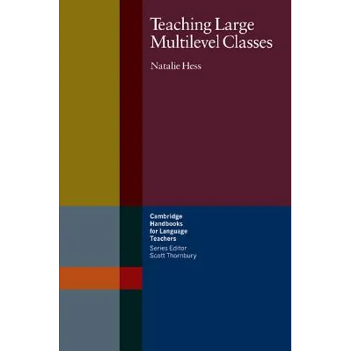 Teaching Large Multilevel Classes - Paperback