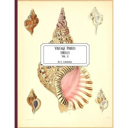 Vintage Prints: Shells: Vol. 4 - Paperback