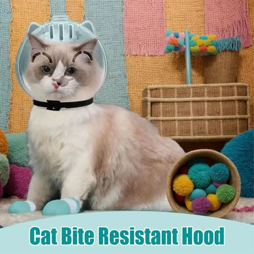Cat Muzzle & Silicone Paw Boots Set – Breathable Anti-Bite Anti-Lick Grooming Hood for Cats (M / L)