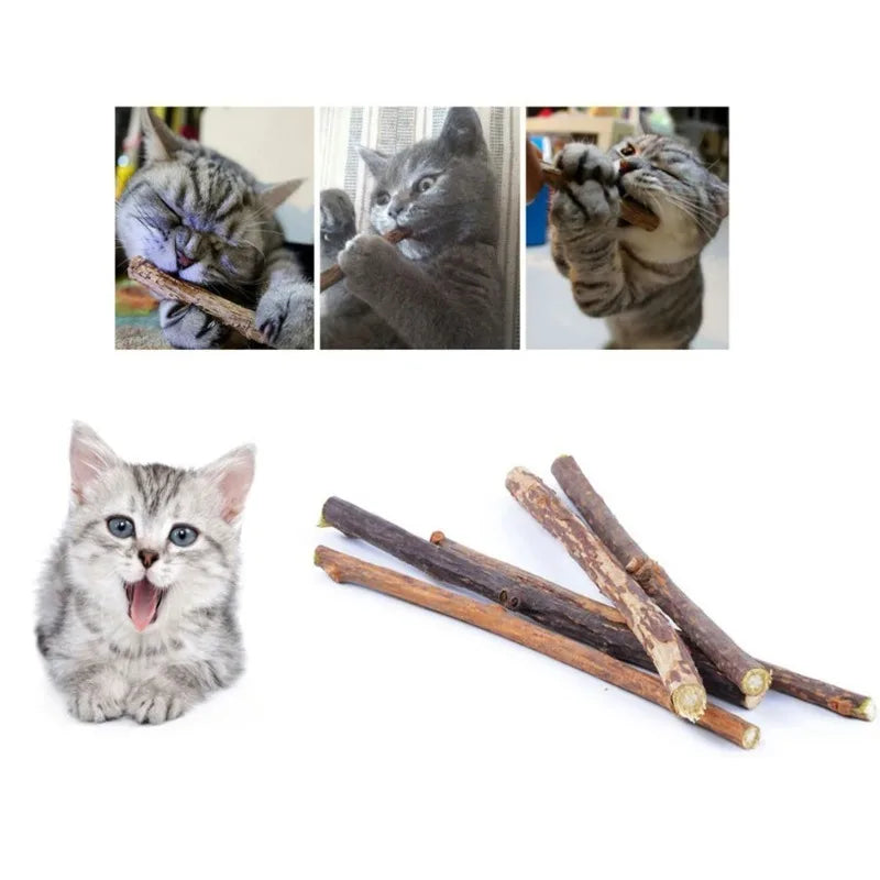 Natural Woodruff Cat Chew Sticks 20-Pack – Dental Molar Chews for Cats & Kittens