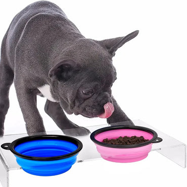 Collapsible Silicone Pet Travel Bowl with Bottle & Carabiner – 2-in-1 Food & Water Dispenser (350/650/1000 ml | 11.8/22/33.8 fl oz)