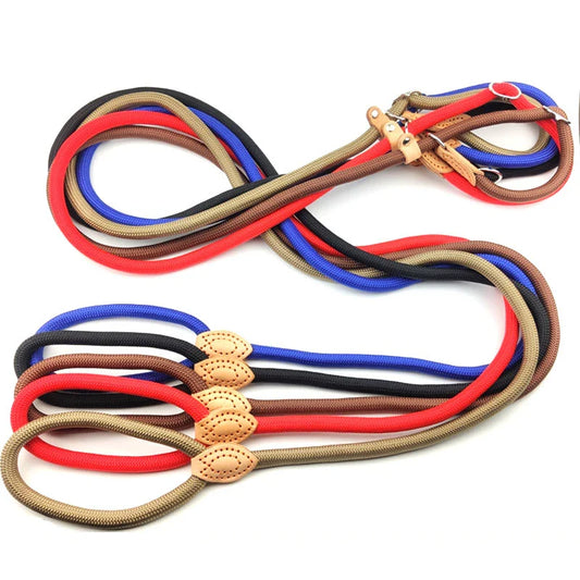 Adjustable Nylon Dog Collar and Harness with Quick-Release Leash, Lightweight Durable Pet Lead for Dogs and Cats