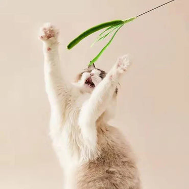Interactive Feather Teaser Wand for Cats — Flexible Wire Durable Feather Toy