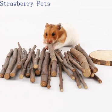 Natural Apple Wood Chew Sticks for Small Pets 5/10/40 Pack - Hamster Rabbit Chinchilla Squirrel Parrot Dental Toy