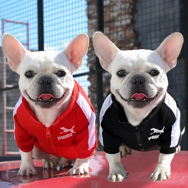 Baseball Pullover Dog Hoodie - Winter Jacket for Small & Medium Dogs, French Bulldog Chihuahua Pug Puppy Coat
