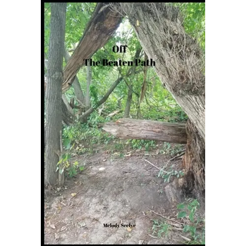 Off The Beaten Path: 4 year Blood Glucose Tracker - Paperback
