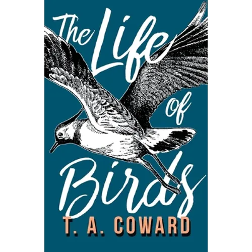 The Life of Birds - Paperback