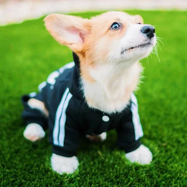 Warm Polyester Dog Jumpsuit for Small & Medium Dogs – Puppy Outfit for Chihuahua, Pug, French Bulldog