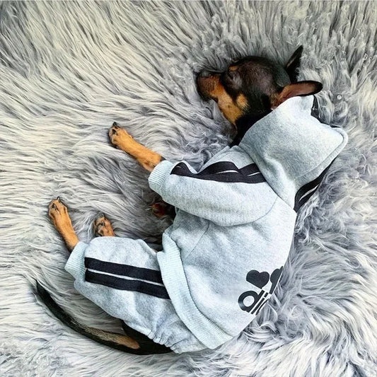 Warm Polyester Dog Jumpsuit for Small & Medium Dogs – Puppy Outfit for Chihuahua, Pug, French Bulldog