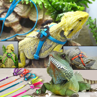 Adjustable Lizard Leash 1.2m (47in) Nylon Traction Rope for Small Reptiles & Exotic Pets