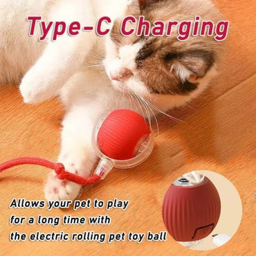 Rechargeable Automatic Rolling Pet Ball — Interactive Plush Tail Toy for Cats & Small Dogs