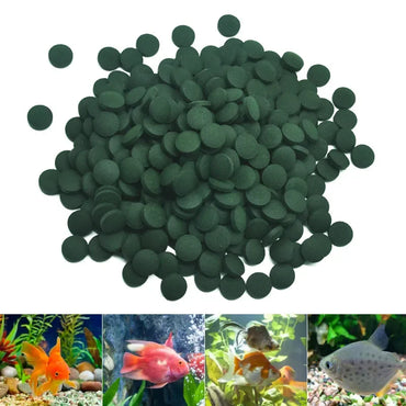 100-Pack Spirulina Tablets Fish & Shrimp Food – Nutrient-Rich Algae Pellets for Aquarium Fish, Crystal Red Shrimp