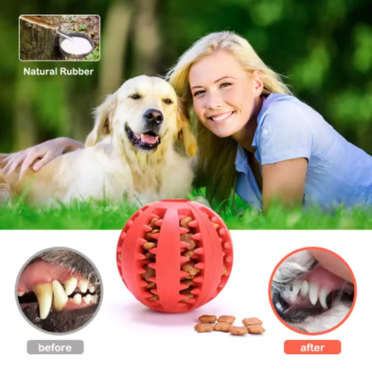 Interactive Rubber Dog & Cat Toy Ball, Puppy Chew Toy, Treat Feeder & Tooth-Cleaning Silicone Ball