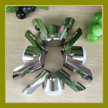 Stainless Steel Champagne Bottle Stopper Wine Pourer Vacuum Seal Grape Design Bar Accessory