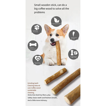 Coffee Wood Dog Chew Toy – Natural Wooden Chew Stick for Dental Health and Teething, Puppies & Adult Dogs