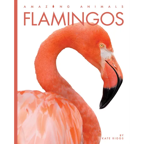 Flamingos - Library Binding
