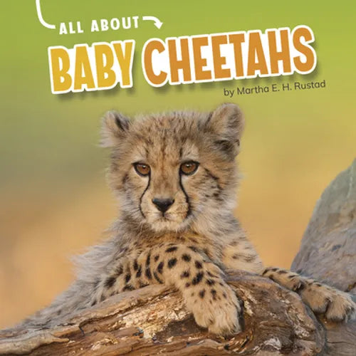 All about Baby Cheetahs - Hardcover