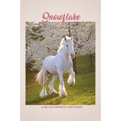 Snowflake - Paperback