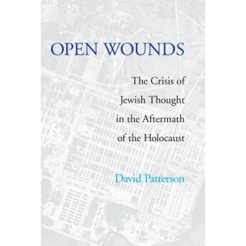 Open Wounds: The Crisis of Jewish Thought in the Aftermath of the Holocaust - Hardcover