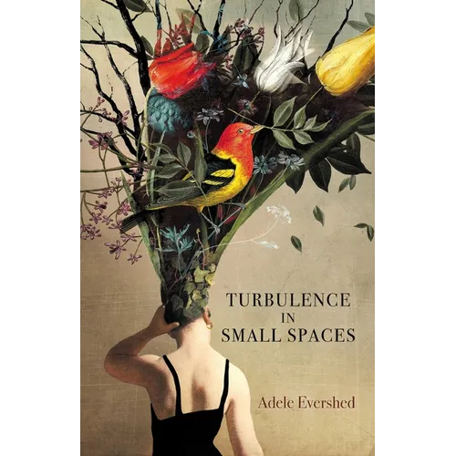 Turbulence in Small Spaces - Paperback
