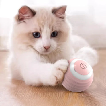 Rechargeable Self-Moving Rolling Ball Cat Toy — Interactive Indoor Toy for Kittens & Cats