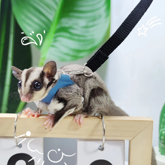 4-Pack Escape-Proof Adjustable Small Animal Harness & Leash Set — Hamsters, Sugar Gliders, Squirrels