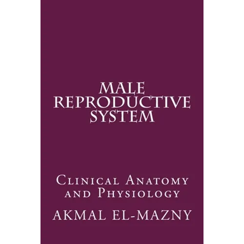 Male Reproductive System: Clinical Anatomy and Physiology - Paperback