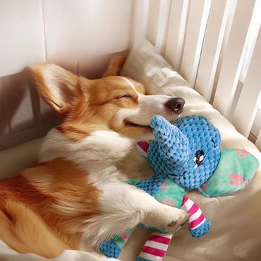 Bite-Resistant Plush Dog Chew Toy with Squeaker, Interactive Teeth-Cleaning Toy, 27 x 28 cm (10.6 x 11.0 in)