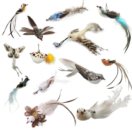 Interactive Feather Cat Toy – Feather Teaser for Cat Play & Exercise