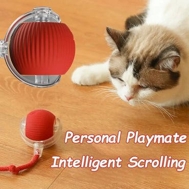 Interactive Rechargeable Rolling Cat Ball with Faux Tail – Automatic Smart Pet Toy for Cats & Small Dogs