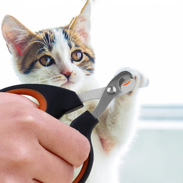Half-Moon Pet Nail Scissors for Cats & Small Dogs – Stainless Steel Grooming Scissors (10 x 6.5 cm / 3.9 x 2.6 in)