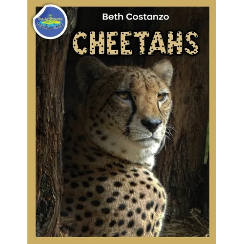 Cheetah Activity Workbook ages 4-8 - Paperback