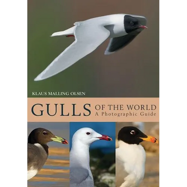 Gulls of the World: A Photographic Guide - Hardcover