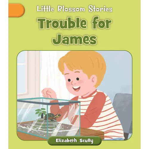 Trouble for James - Paperback