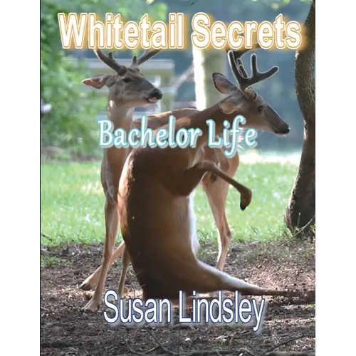 Whitetail Secrets: Bachelor Life - Paperback