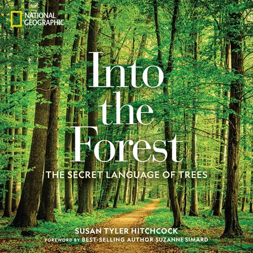 Into the Forest: The Secret Language of Trees - Hardcover