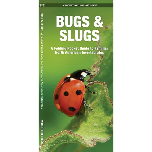 Bugs & Slugs: A Folding Pocket Guide to Familiar North American Invertebrates
