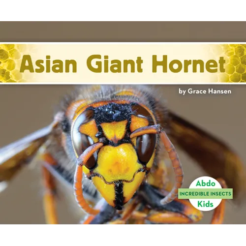Asian Giant Hornet - Library Binding