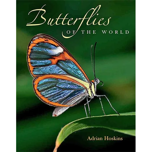Butterflies of the World - Hardcover