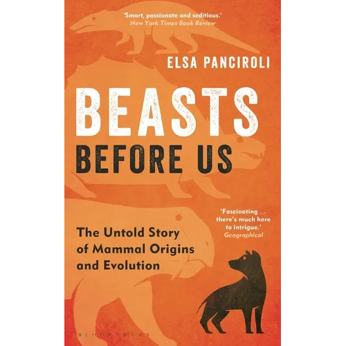 Beasts Before Us: The Untold Story of Mammal Origins and Evolution - Paperback