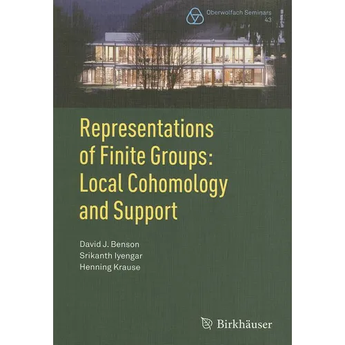 Representations of Finite Groups: Local Cohomology and Support - Paperback