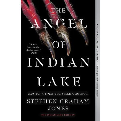 The Angel of Indian Lake - Paperback